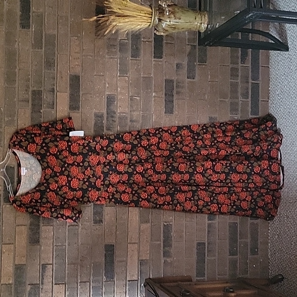 LuLaRoe Ana, short sleeve maxi dress, multicolored, floral, size L